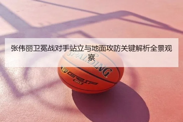 张伟丽卫冕战对手站立与地面攻防关键解析全景观察