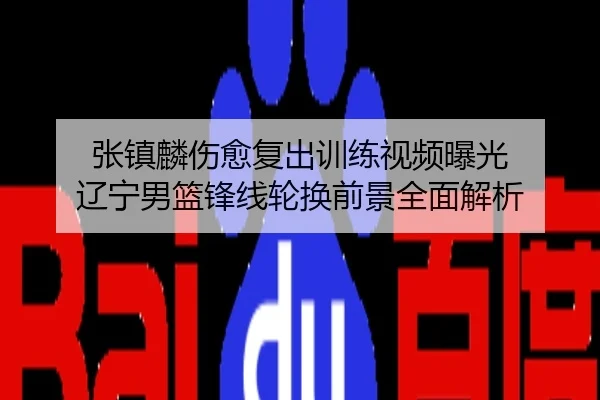 张镇麟伤愈复出训练视频曝光 辽宁男篮锋线轮换前景全面解析